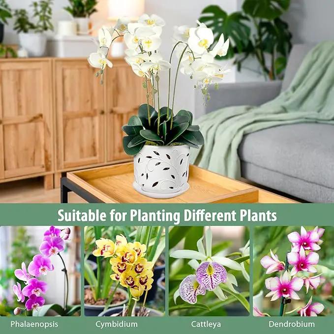 EFISPSS Orchid Pots with Holes, 7 Inch Orchid Pots with Drainage Holes and Tray, Indoor or Outdoor Ceramic Flower Pot for Orchid Care, Promoting Air Circulation and Drainage Plant Pot - White by GreenHaven Gardens