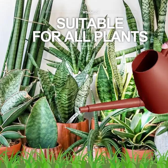 WhaleLife Indoor Watering Can for House Bonsai Plants (2.0L, Terra-Cotta Red) by GreenHaven Gardens