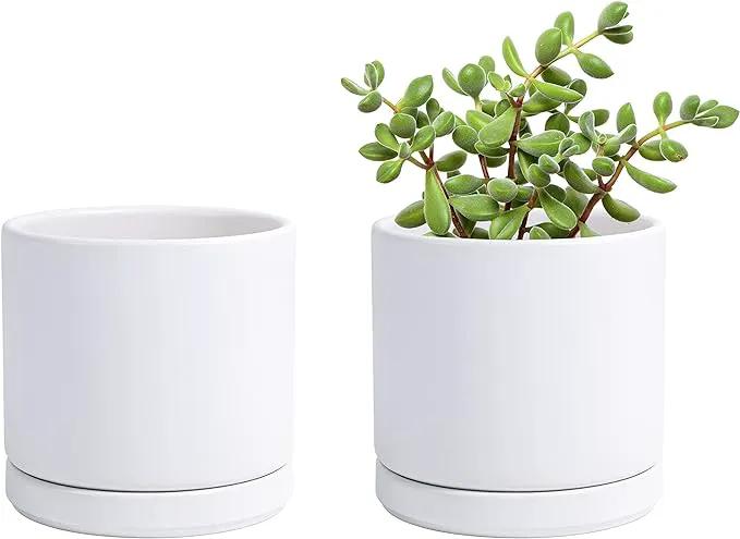 D'vine Dev Set of 2 Plants Pot, 4.6 Inch Ceramic Planter Pot for Plants with Drainage Hole and Saucer, White, 94-V-B-1 by GreenHaven Gardens