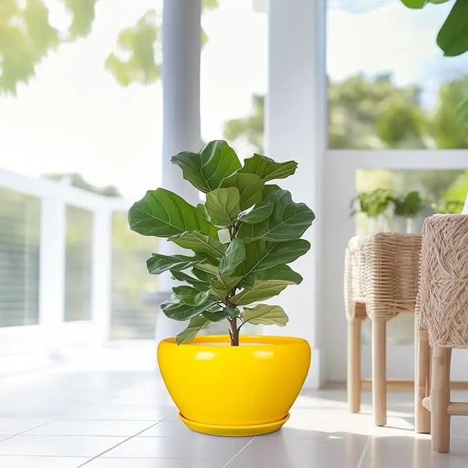 Ceramic Planter for Indoor Plants - 13 Inch Mid-Century Decorative Modern Large Plant Pot with Drainage Hole and Saucer, Home Balcony House Garden Patio Room Office Decor, Yellow by GreenHaven Gardens