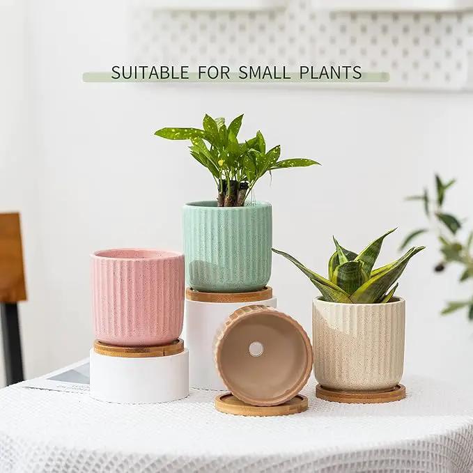 OMAYKEY 4 Inch Ceramic Plant Pot with Saucer, Adorable Stripe Multicolor Small Planters Pots with Drainage Hole & Mesh Pads for Succulent, Snake Plants, Cactus, Herbs - Set of 4 by GreenHaven Gardens