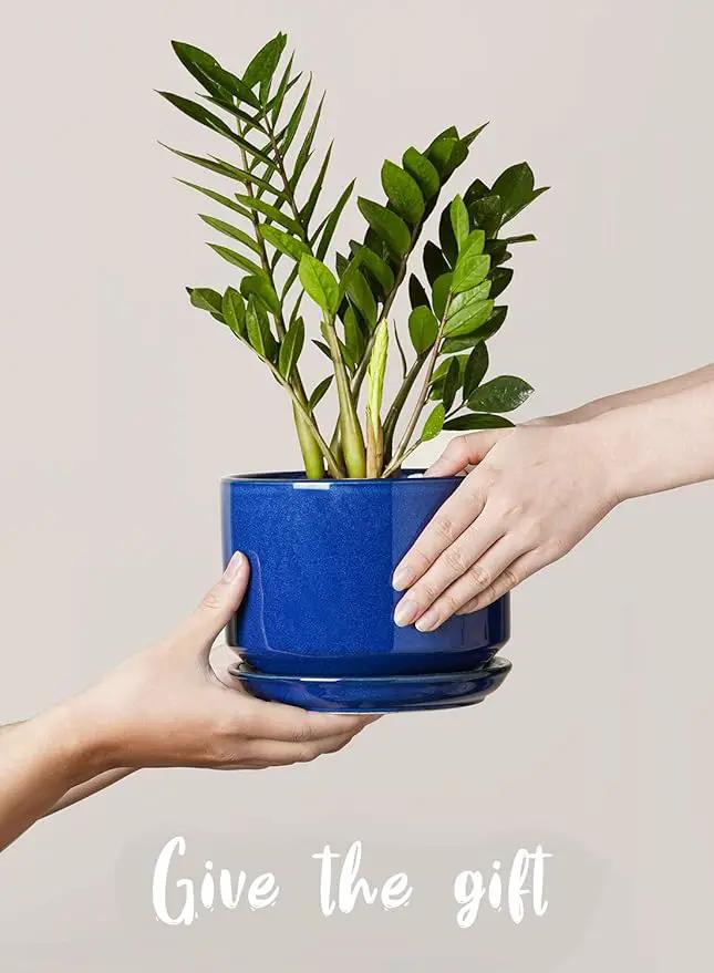 LE TAUCI Ceramic Plant Pots, 4.3+5.3+6.8 inch, Set of 3, Planters with Drainage Hole and Saucer, Indoor Flower Pot with Hole Mesh Pad, Gifts for Mom, Sapphire Blue by GreenHaven Gardens