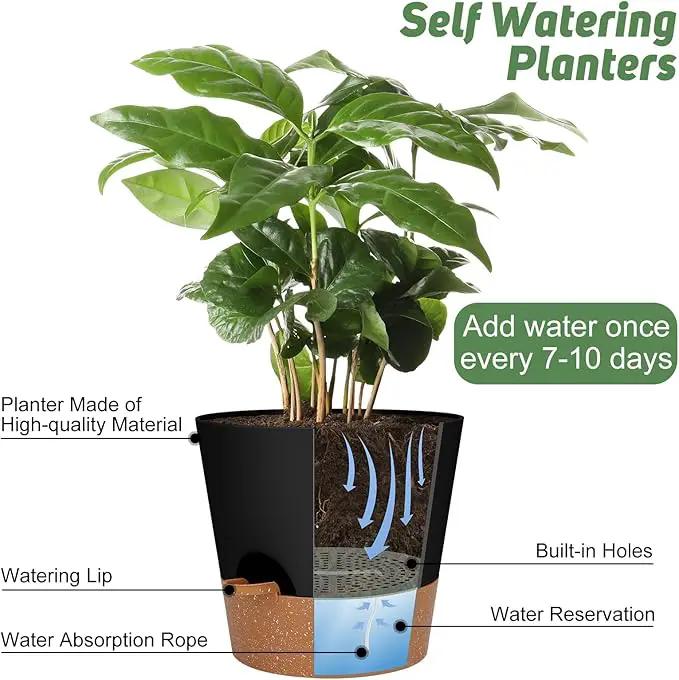 10-Inch Plant Pots, Self-Watering Planters with Drainage Holes & Saucers for Indoor and Outdoor Plants (2-Pack, Black) by GreenHaven Gardens