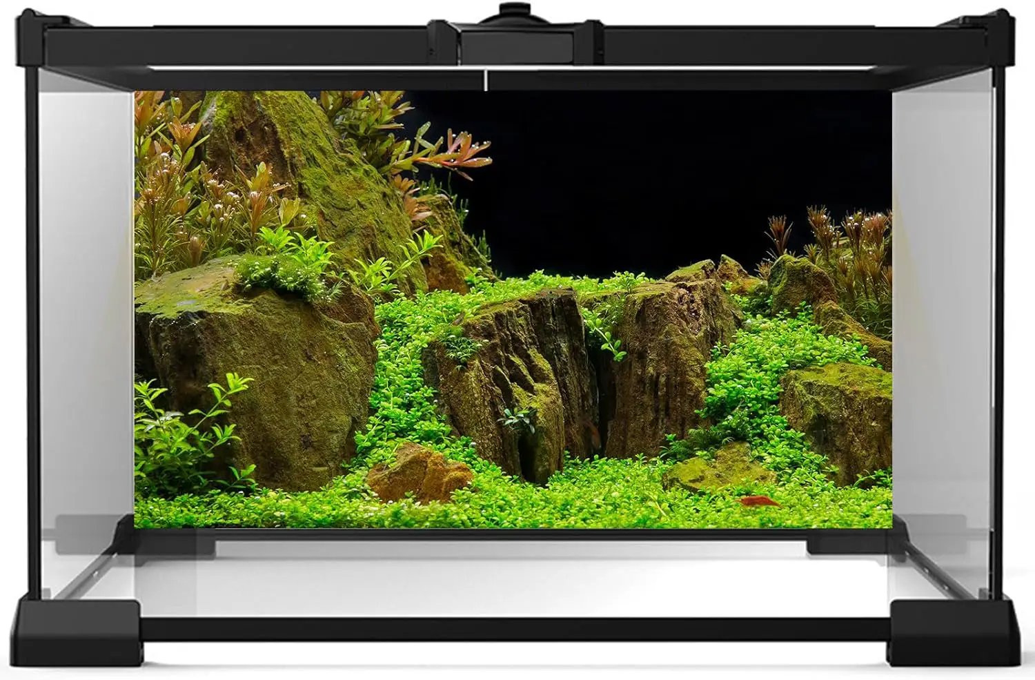 Aquarium Background Exquisite Underwater Grass with Moss Fish Tank Background Underwater Stone Terrarium Background Durable Vivid Leaves Under Water Tank Background 30x12in by GreenHaven Gardens