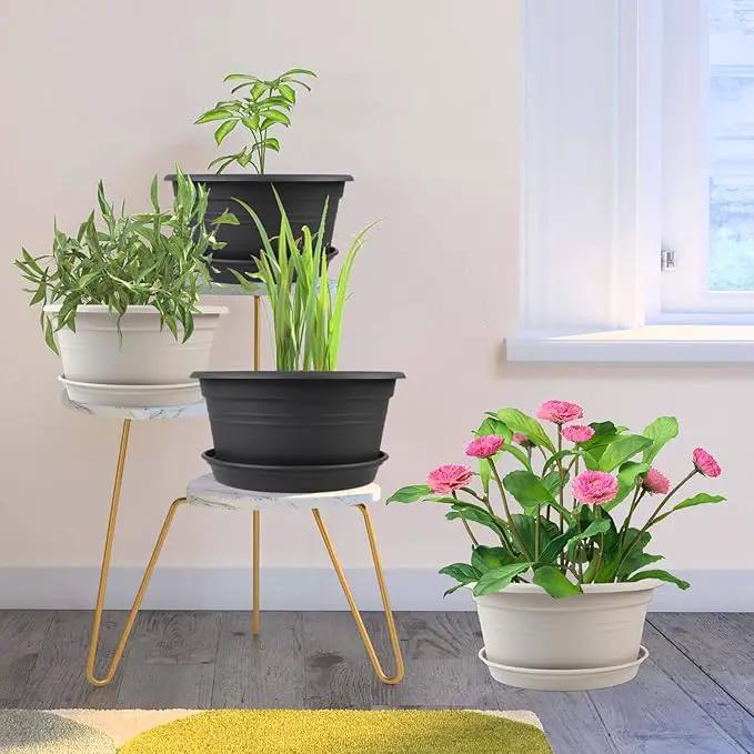 6 Pack 10 inch Plant Pot, Round Plastic Plant Pots, Outdoor Pots for Plants with Drainage Hole & Tray Saucer, Decoration Flower Pots for Indoor Plants Home Garden Outdoor Planters (Grey) by GreenHaven Gardens