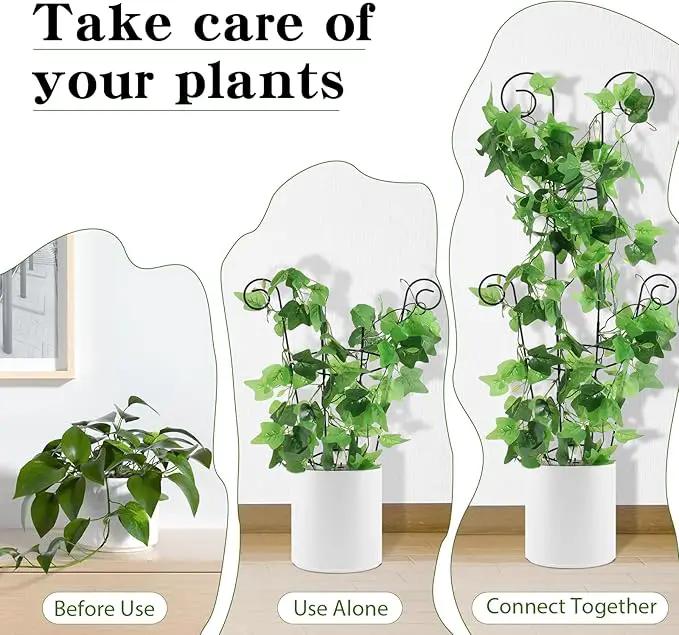 ZOUTOG Trellis for Climbing Plants Indoor 30 Inch, Houseplant Trellis for Potted Plants Metal 4Pcs for Vine Ivy Flower Support,Round Shape,Black by GreenHaven Gardens