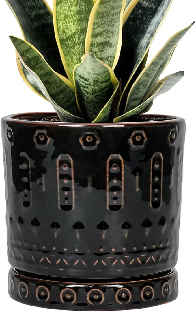 Ceramic Plant Pots - 6 Inch Ceramic Planter for Indoor Outdoor, Round Flower Pots with Drainage Hole and Plant Saucer, Boho Decorative Small Planter, House Decor, Gifts for Gardeners, Black by GreenHaven Gardens