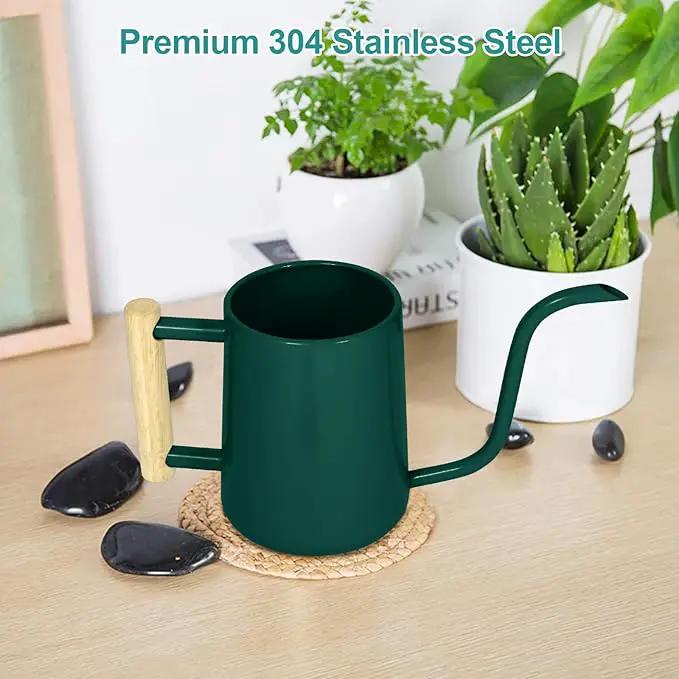 Watering Can Indoor Plants, 35 oz/1000 ml Metal Stainless Steel Watering Can Pot with Long Spout for Indoor House Plants Bonsai Outdoor Garden Flower Decorative (Alpinegreen) by GreenHaven Gardens