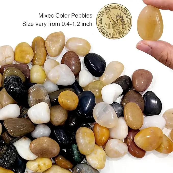 River Rocks 10 Lbs,0.4-1.2 Inch Pebbles for Indoor Plants, High Polished Stones for Garden Landscaping, Smooth Gravel Filler for Outdoor Plants, Succulents, Fish Tank and Vases by GreenHaven Gardens