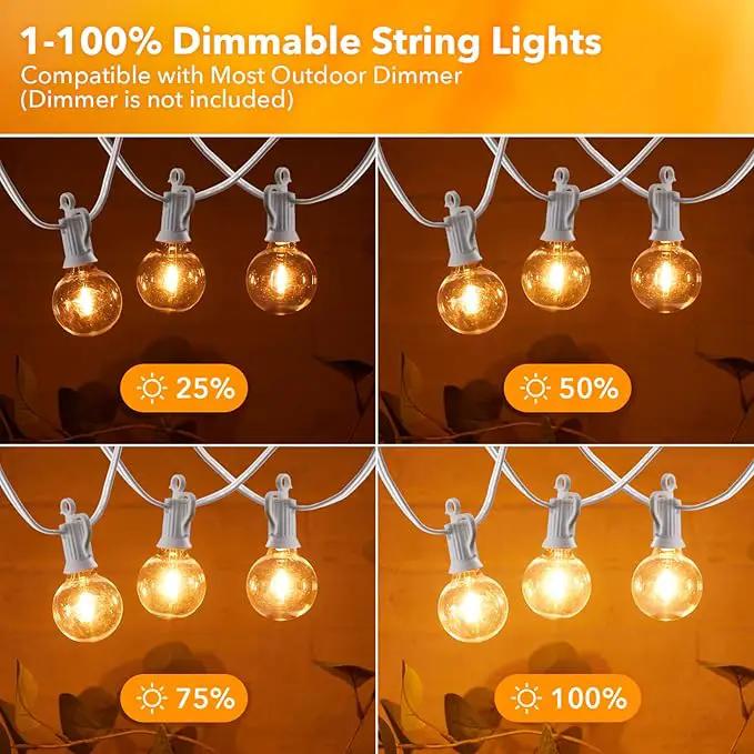 Outdoor String Lights - 50 Ft Waterproof Connectable Commercial LED Patio Lights with 25 G40 Globe Bulbs, All Weatherproof Hanging Globe Lights for Outside Backyard Porch Party Decoration by GreenHaven Gardens