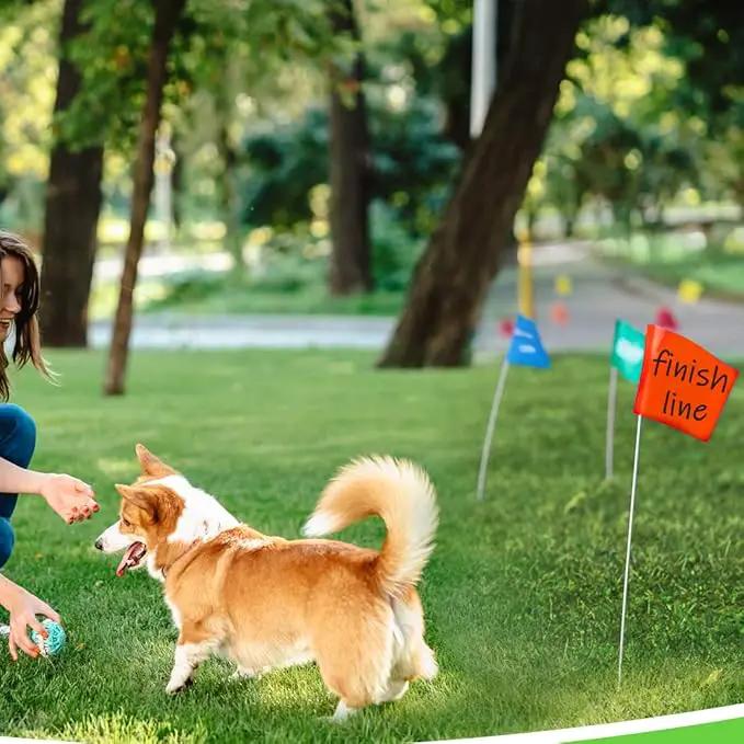 Zozen Marking Flags, Fluorescent Orange Color/1000 Pcs/15x4x5 Inch, Yard Flags for Lawn & Irrigation & Landscape & Sprinkler & Survey & Dog Training. by GreenHaven Gardens