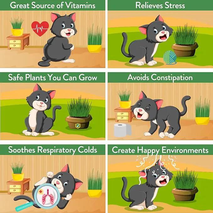 HOME GROWN Cat Grass Seed Mix – Non-GMO Oat, Alfalfa, Rye & Wheat Seeds for Cats | Indoor Pet Grass with Fast Germination | Digestive Aid, Hairball Relief & Safe Chew Alternative by GreenHaven Gardens