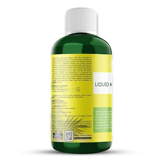 Organic Premium Kelp Seaweed Fertilizer for Jasmin - Liquid Fertilizer - Liquid Plant Food - Nutrient-Rich Soil Enhancer - Natural Plant Food for Jasmin (32 OZ) by GreenHaven Gardens