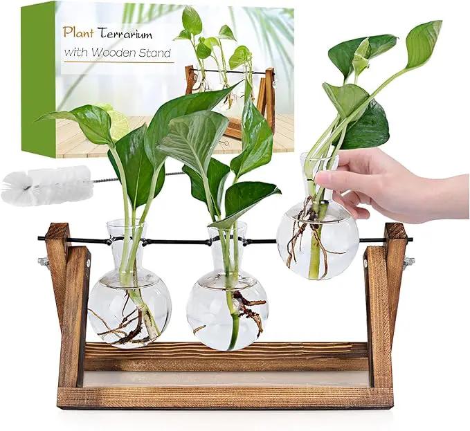 Plant Propagation Station, Plant Terrarium with Wooden Stand, Unique Gardening Birthday Gifts for Women Plants Lovers, Home Office Garden Decor Planter - 3 Bulb Glass Vases by GreenHaven Gardens