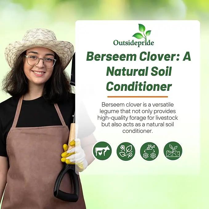 Outsidepride Annual Berseem Clover Seeds for Lawn - 50 lbs. High-Yield, Fast-Growing Clover Cover Crop Seeds for Food Plots, Cattle Forage & Nitrogen-Rich – Ideal for Pastures & Soil Improvement by GreenHaven Gardens