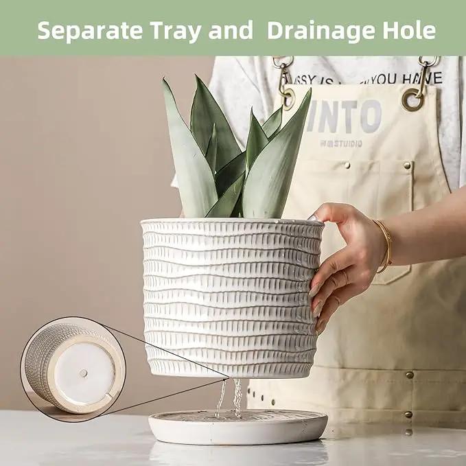 8 Inch Plant Pot: Ceramic Planter with Drainage Hole & Saucer - Cream White Flowerpot for Indoor & Outdoor Plants - with Separate Tray for Home & Office - Wave Embossed Design by GreenHaven Gardens