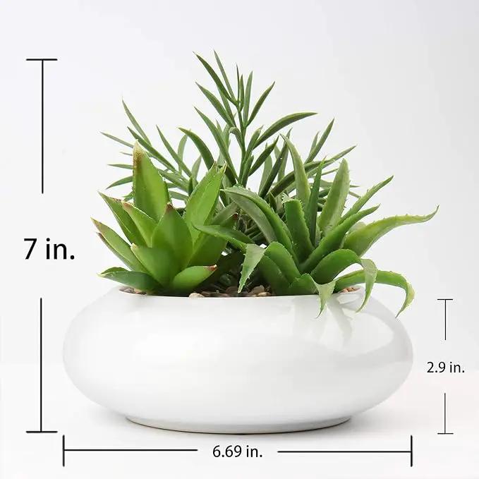Hollyone Large Artificial Succulents Plants Faux Succulents in Pots Fake Succulent Plastic Potted Plants with White Ceramic Pot for Home Decor Office Desk Bathroom Shelf Living Room Decoration by GreenHaven Gardens