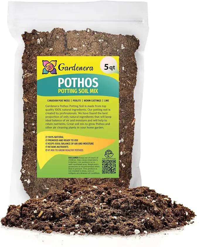 Premium Pothos Potting Soil Mix - Air Cleaning Plant Potting Mix, Soil Mix for Pothos, Parlor Palm, Peace Lily - (5 Quart Bag) by GreenHaven Gardens