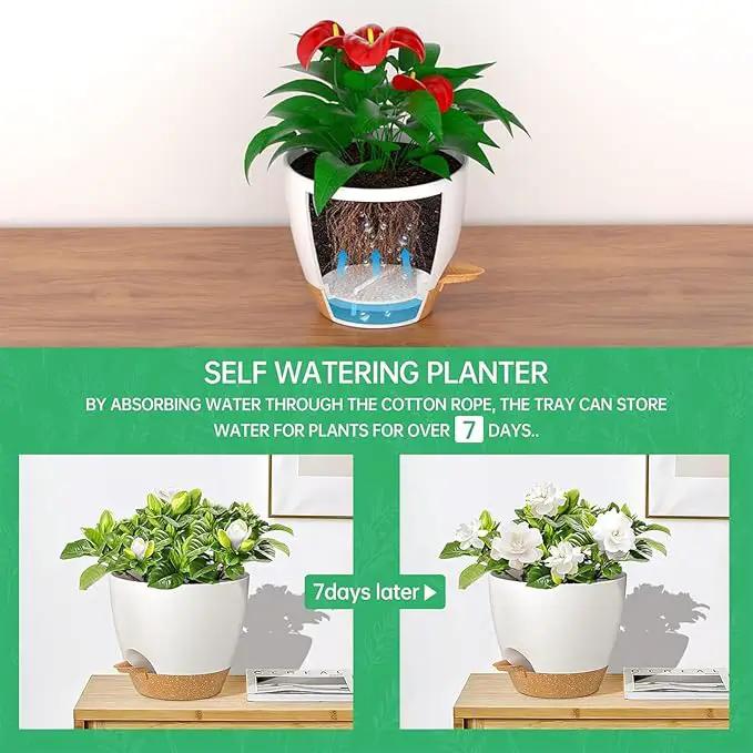 ZMTECH 10 Inch Hanging Planters for Indoor Outdoor Plants, 2 Pack Self Watering Hanging Plant Pots with Drainage Holes and Removable Saucer, Plastic Flower Hanging Pots with Watering Lip (White) by GreenHaven Gardens