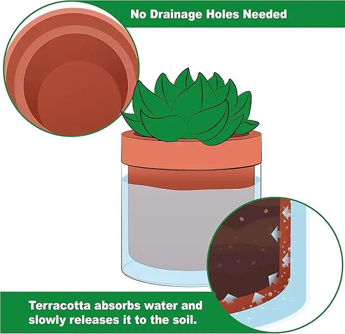 Phoenix Vine 4 Inch Self Watering Planter Pot, Terracotta Clay Pot with Glass Reservoir for Indoor Plants, Herbs, Flowers, Set of 3, 52-A-E-3 by GreenHaven Gardens