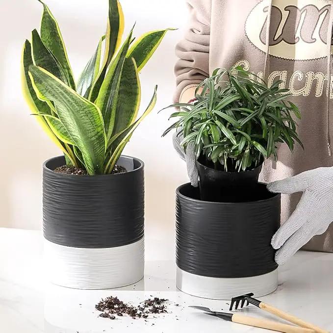 Nihow Ceramic Plant Pot: 6 Inch Planter with Drainage Hole & Saucer for Indoor & Outdoor Plants - Cylinder Round Flower Pot for Succulent/Herbs/Violets - Black & White by GreenHaven Gardens