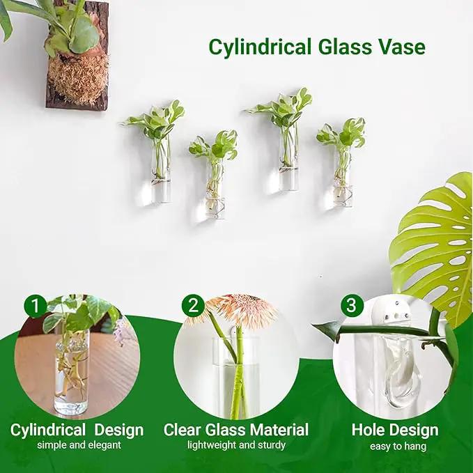 Ivolador Wall Plant Propagation Station Hanging Glass Planter Vase Terrarium Container Cylinder Shape Perfect for Propagating Hydroponic Plants Home Office Garden Decor Wedding-4PCS by GreenHaven Gardens