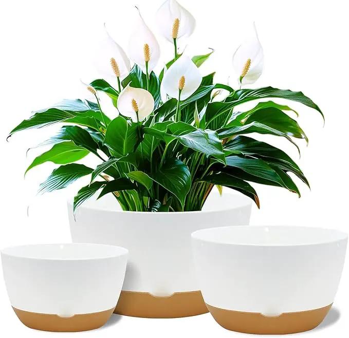12 Inch Pots for Indoor Plants, Large Self Watering Planters with Drainage and Saucers, Plastic Outdoor Flower Pot, Set of 2, White by GreenHaven Gardens