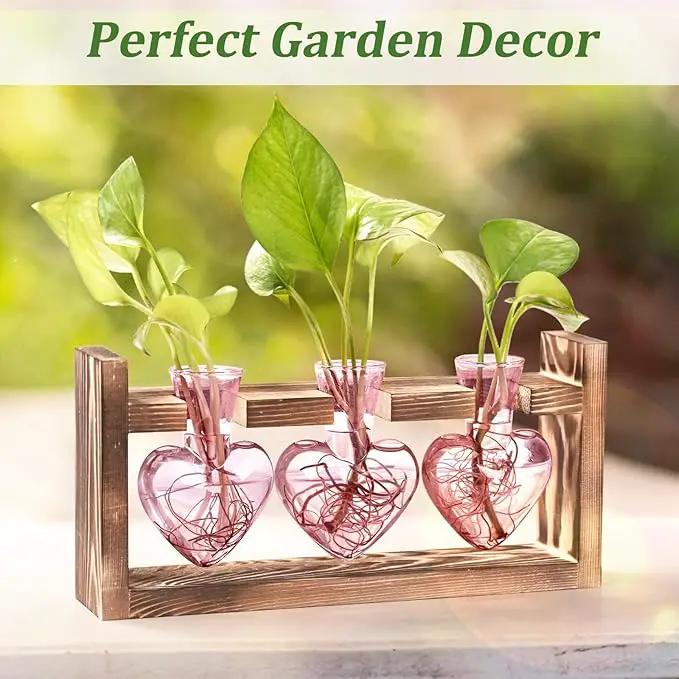 Lifecapido Heart Shaped Propagation Stations, Plant Terrarium with Wooden Stand, Plant Propagation Station for Hydroponics Plants Office Garden Home Decor, Gifts for Women Plant Lover (3 Vases, Pink) by GreenHaven Gardens