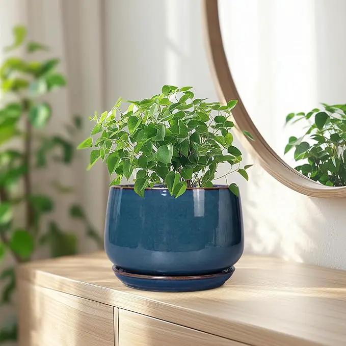 G EPGardening Ceramic Pot for Plants - Modern 7 Inch Round Planter with Drainage and Tray Indoor Outdoor for Flower, Porch Decor, Gardening Gifts, Retro Blue by GreenHaven Gardens