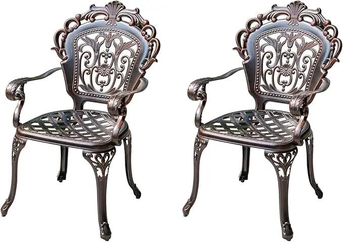 Outdoor Dining Chair Cast Aluminum Patio Chairs Set of 2 All-Weather Patio Dining Chair with Adjustable Feet for Backyard Garden (C-Style Finland Chair) by GreenHaven Gardens