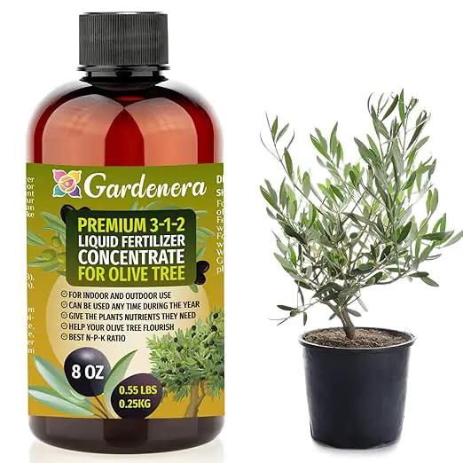 Premium Liquid Olive Tree Plant Fertilizer - 3-1-2 Concentrate for Indoor Plants and Flowers by Gardenera | Organic Plant Food for Olive Trees - 8oz by GreenHaven Gardens