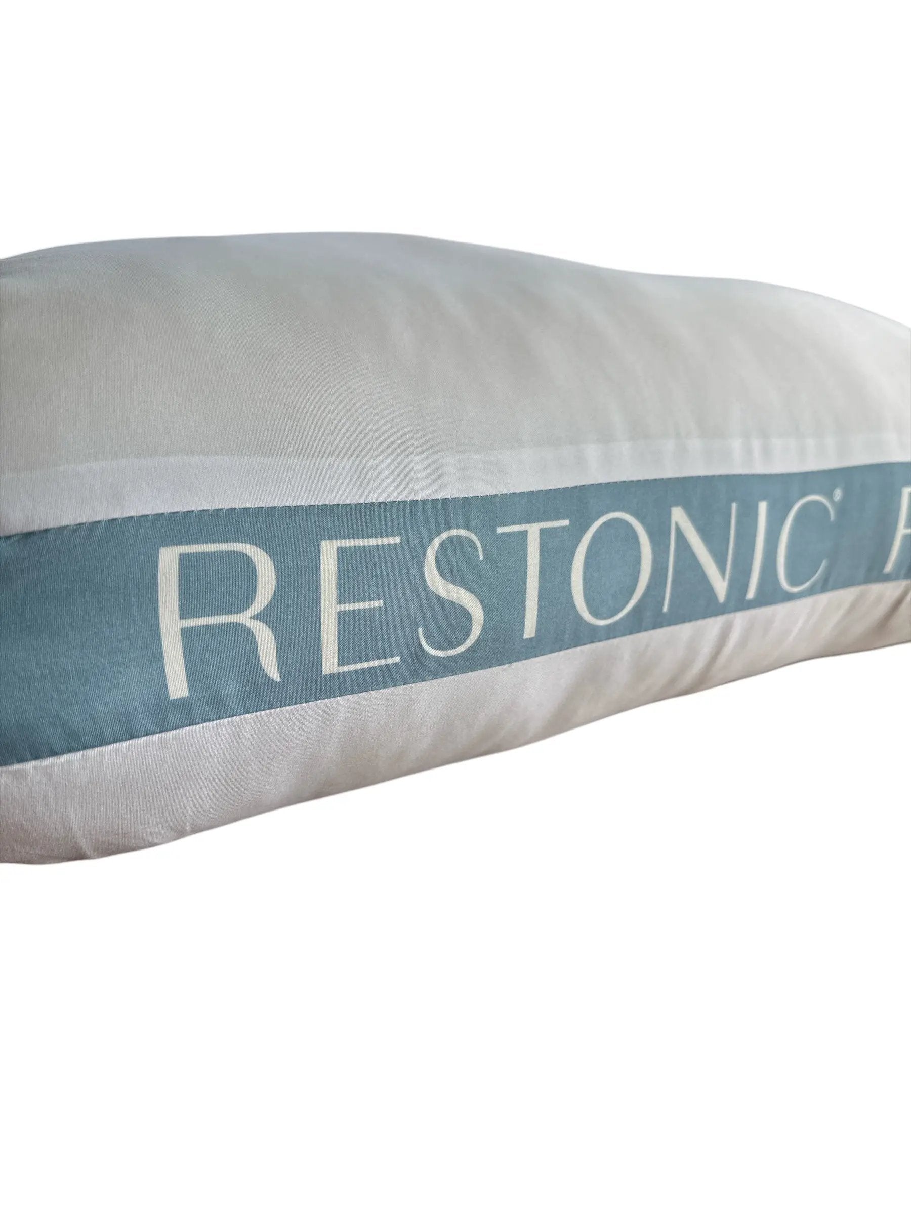Tempadvantage Twin Pack Bed Pillows by HouseOfZazla