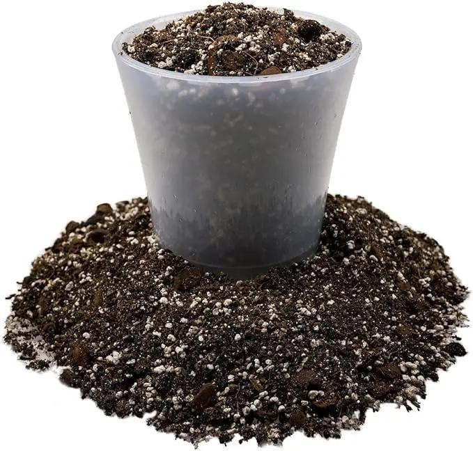 Premium Coco Coir and Perlite Potting Mix, Soil for Maximum Plant Growth, Perfect for Indoor and Outdoor Container Gardens by Gardenera - 2 Quart by GreenHaven Gardens