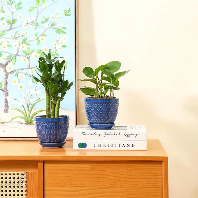 Sureasy Ceramic Plant Pots, 4.7 Inch Flower Pots for Indoor Plants, Succulent Pots with Saucer and Drainage Hole, Decorative Planter for Succulent, Cactus, Set of 4, Blue by GreenHaven Gardens