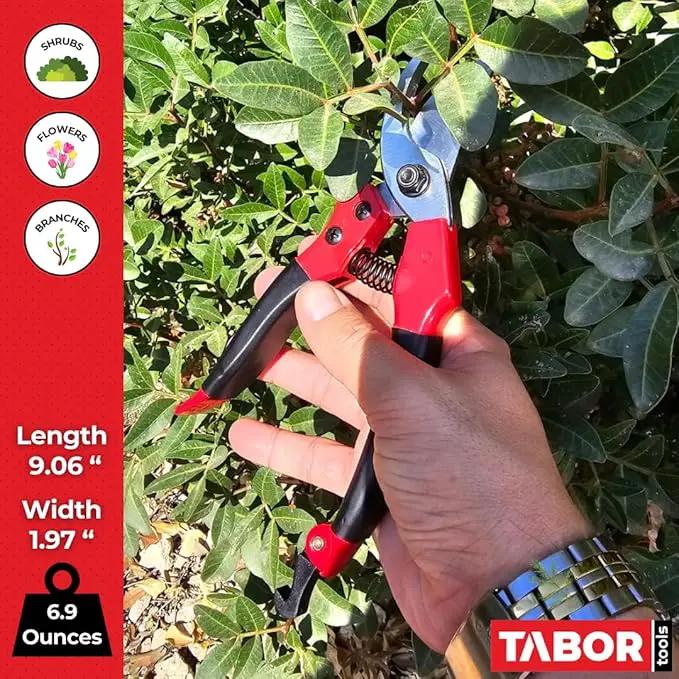 TABOR TOOLS S821A Bypass Pruning Shears, Makes Clean Cuts, Great for S-M Size Hands. Professional Sharp Secateurs, Hand Pruner, Garden Shears, Clippers for The Garden. by GreenHaven Gardens