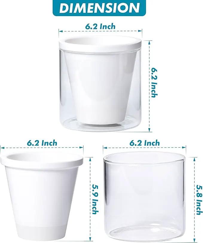 D'vine Dev 6 Inch Design Self Watering Planter for Indoor Plants, White Terracotta Pots with Cylinder Glass Cup, Set of 2, 37-Y-B-2 by GreenHaven Gardens