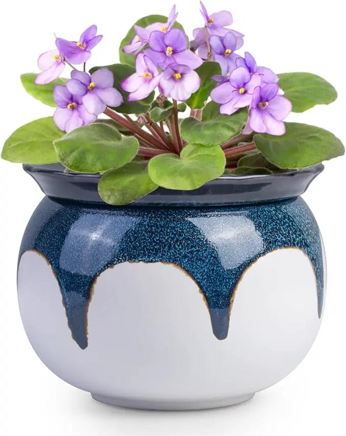 African Violet Pots, 6 inch Ceramic Easy Self Watering Plant Pot for Busy Plant Lovers, Automatically Absorb Appropriate Amount of Water, Flower Pot Indoor-Plants Not Included(Blue) by GreenHaven Gardens