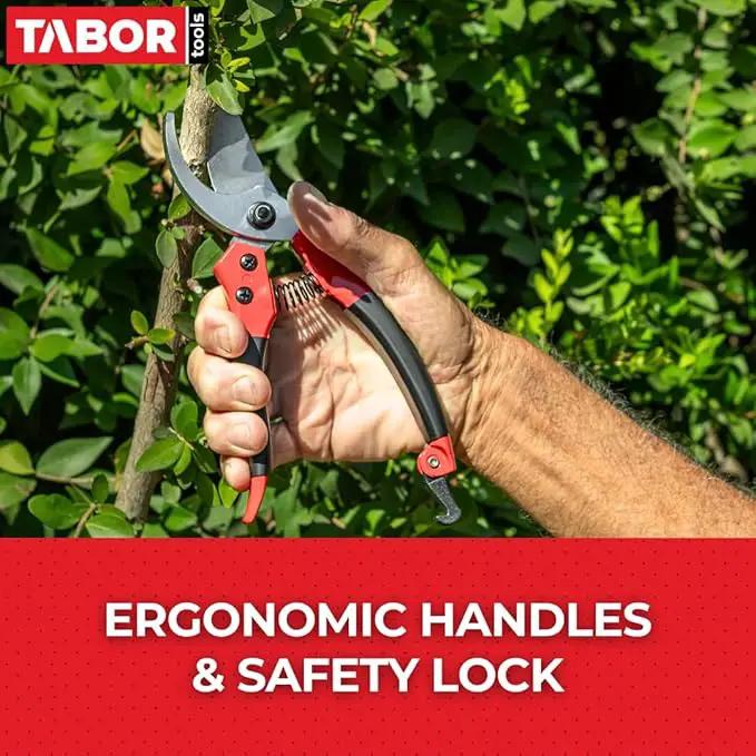 TABOR TOOLS S821A Bypass Pruning Shears, Makes Clean Cuts, Great for S-M Size Hands. Professional Sharp Secateurs, Hand Pruner, Garden Shears, Clippers for The Garden. by GreenHaven Gardens