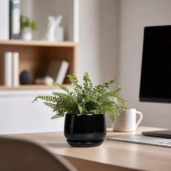 G EPGardening Small Ceramic Planter - 4 Inch Succulent Pots with Drainage Hole & Sacuer, Flower Pots for Indoor Outdoor Plants, Modern Decorative Round Planter, Room Decor, House Warming Gifts, Black by GreenHaven Gardens