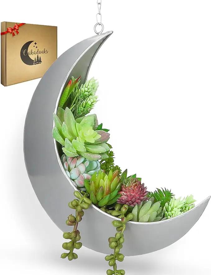 Hanging Moon Planter for Moon Room Decor - Great for Succulents, Air Plant, Mini Cactus, Faux, Artificial Plants-Boho Hanging Planters for Indoor Plants, Witchy Gifts for Women, Birthdays,Plant Lovers by GreenHaven Gardens