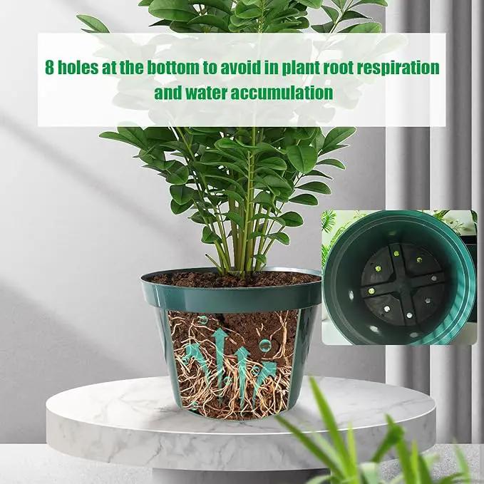 DAPERCI RooTrimmer 8 inches Nursery Pot Plant Grow Sturdy Flower pots in Bulk Price 20P by GreenHaven Gardens