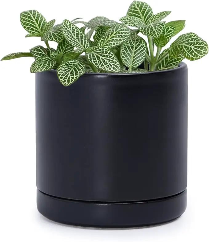 D'vine Dev 3.5 Inch Ceramic Planter Pot with Drainage Hole and Saucer, Indoor Cylinder Round Planter Pot, Black, 94-O-A-2 by GreenHaven Gardens