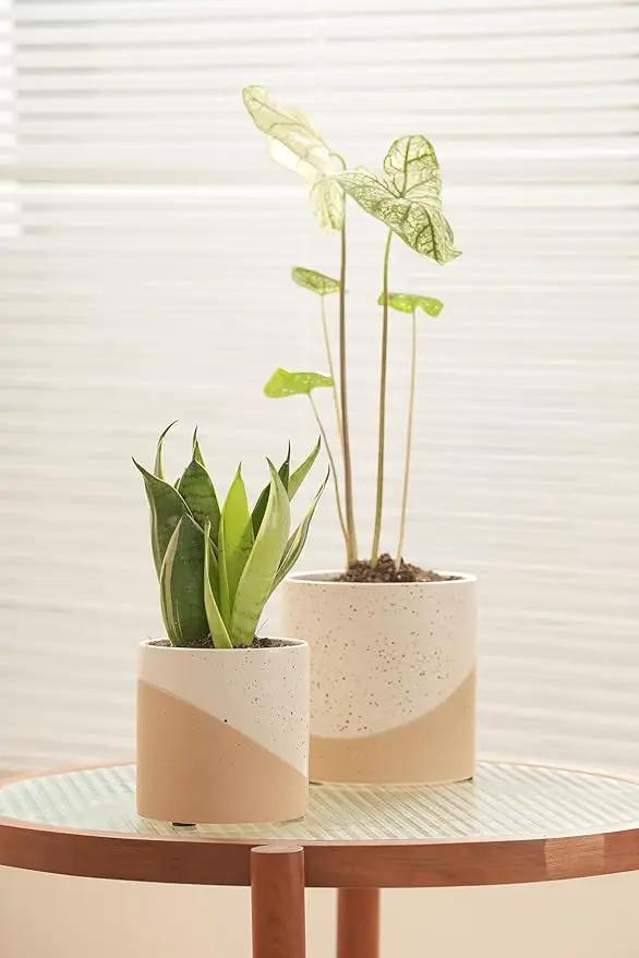 Ceramic Pots for Indoor Plants, 2 Set Flower Pots 5.4/4.3 Inch with Drainage, Double Color Glazed Speckled White & Terracotta Bottom Ceramic Planter Idea for Plant Lovers by GreenHaven Gardens