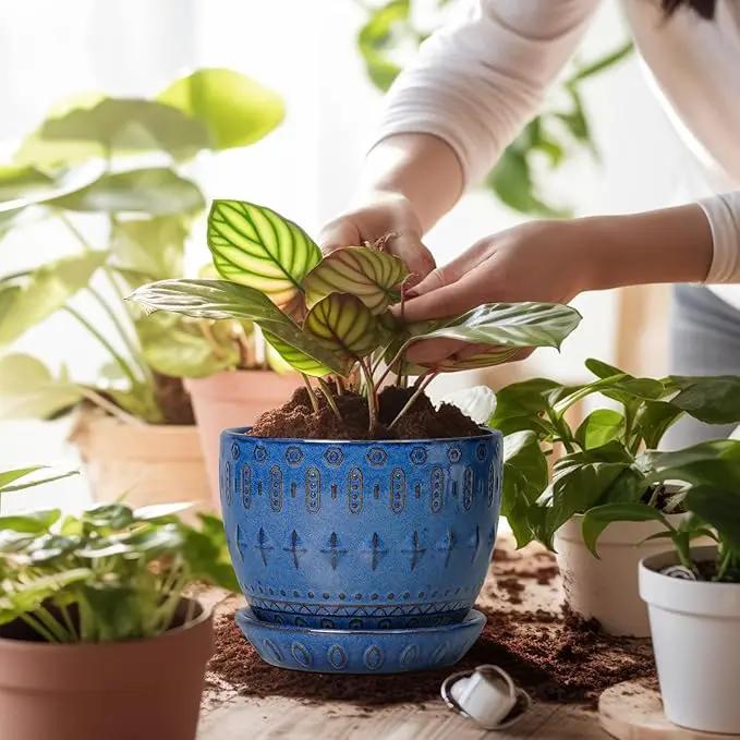 G EPGardening Plant Pot 5 Inch - Ceramic Planter for Indoor Plants Outdoor, Succulent Orchid Pot with Drainage Hole and Saucer, Round Flower Pot for Home Decor, Blue by GreenHaven Gardens