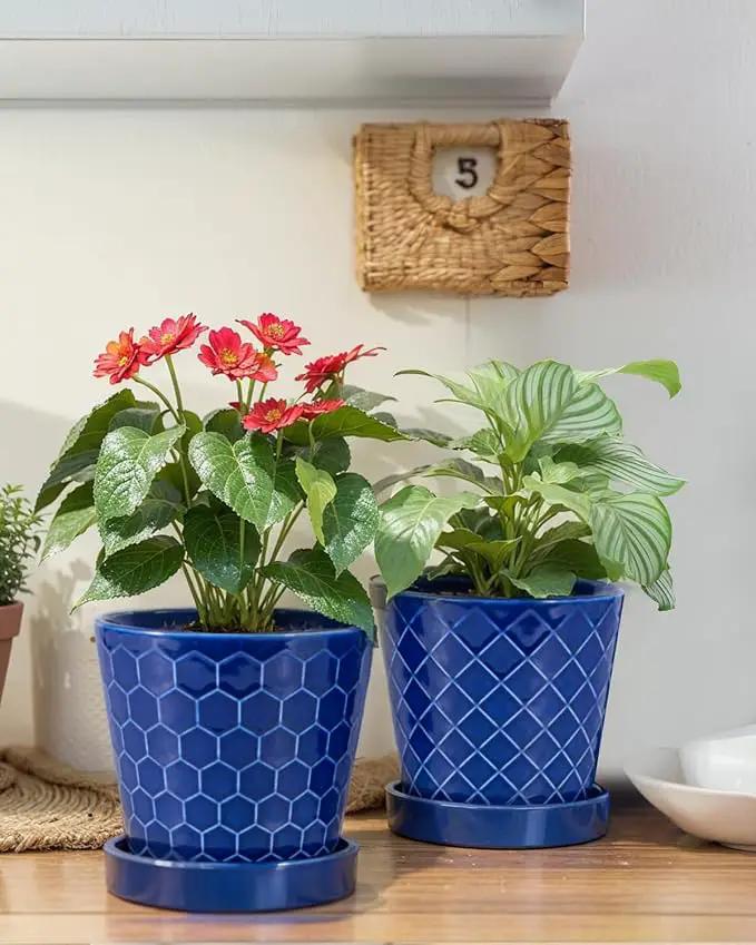 EFISPSS Ceramic Plant Pots, 5Inch Pots for Indoor Plants, Planters with Drainage Holes and Ceramic Tray,Plant Lover Gift, Desktop Office Windowsill Decoration Gift Set of 4 - Blue by GreenHaven Gardens