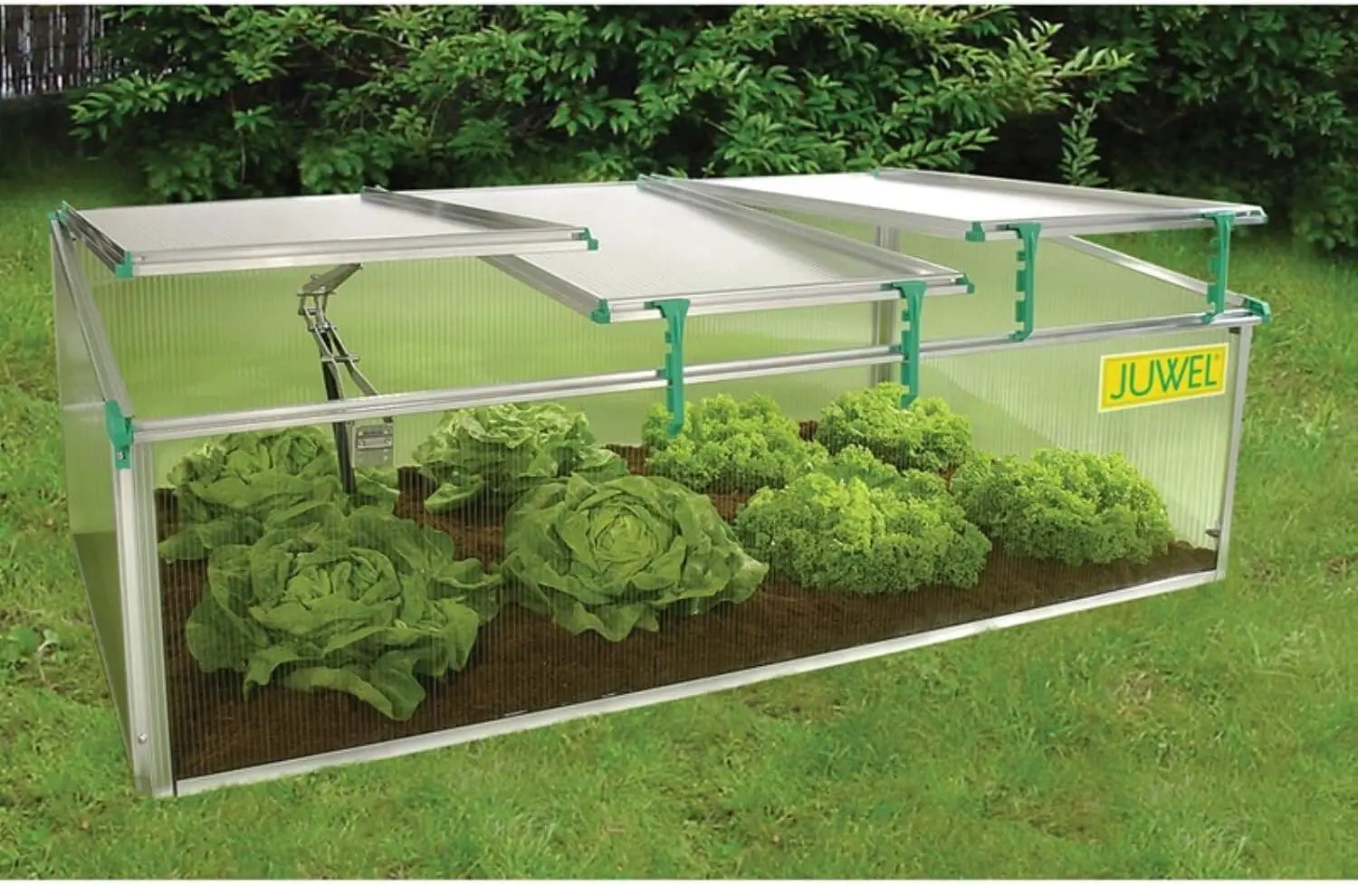 Victorian Cold Frame Gardening Kit - Metal Frame, 3 Windows, 59x32x4 Inches 142 by GreenHaven Gardens