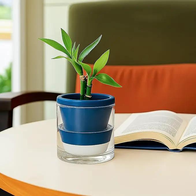D'vine Dev 4 Inch Design Self Watering Planter for Indoor Plants, Blue Terracotta Pot with Cylinder Glass Cup, Set of 3, 37-Z-A-4-T by GreenHaven Gardens