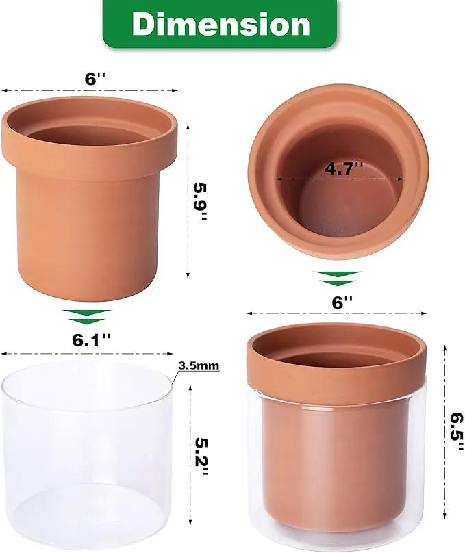 Phoenix Vine 6 Inch Self Watering Planter Pot, Terracotta Clay Pot with Glass Reservoir for Indoor Plants, Herbs, Flowers, Set of 1, 52-A-F-1 by GreenHaven Gardens