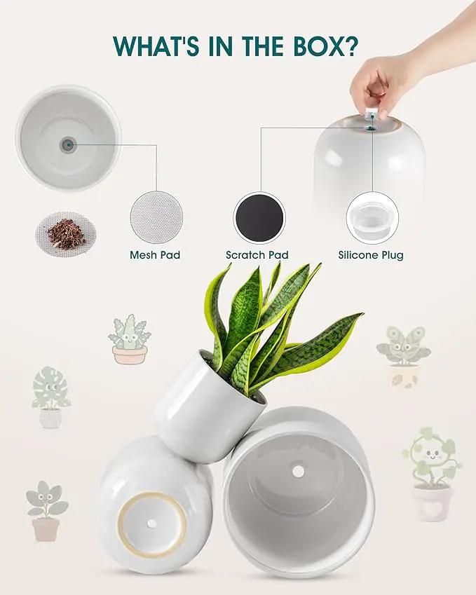 vancasso 6+8+10 inches Ceramic Plant Pots, Set of 3, Planters with Drainage Hole, Flower Pots Planters Pots for Indoor Plants, Modern Indoor Decorative Garden Pot, Home Decor, White by GreenHaven Gardens