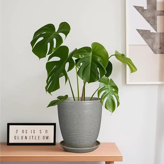 8 Inch Plant Pot Ceramic Planter Pot with Drainage Hole and Saucer Modern Round Flower Pot for Indoor Plants Light Gray by GreenHaven Gardens